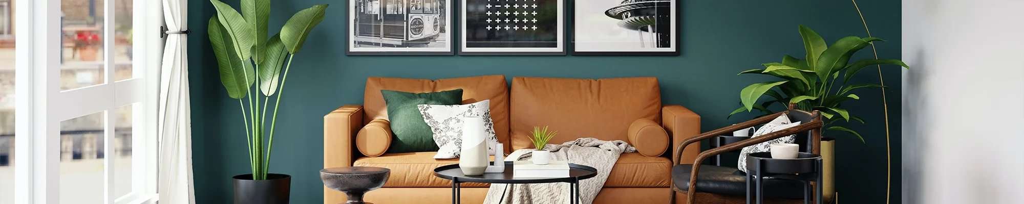 sunny living room with colourful couch and plants | Mitchell's Flooring & Design | Serving Northern Colorado | 70-352-7251 |
