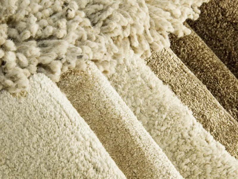 Carpet-Image-Info-800x600