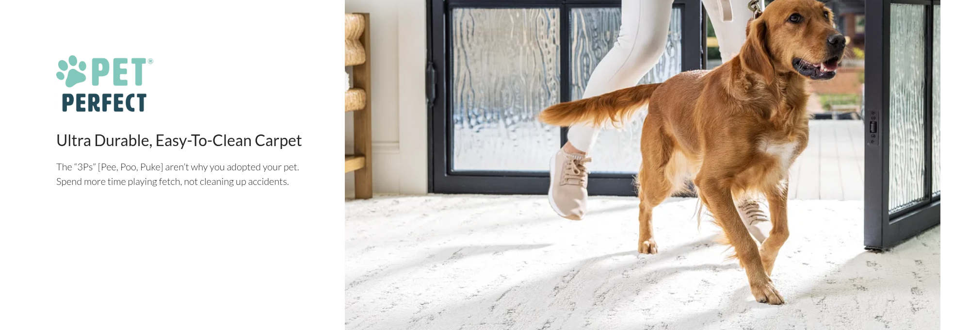 Pet-Perfect-Hero-Banner-2000x680